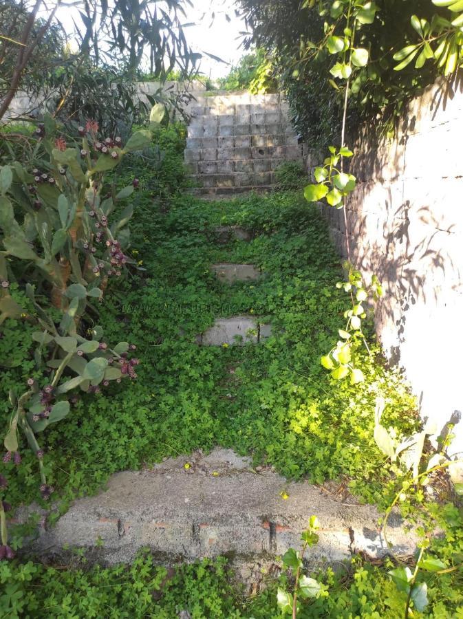 Appartamento Con Giardino Torre Dei Corsari Exterior foto